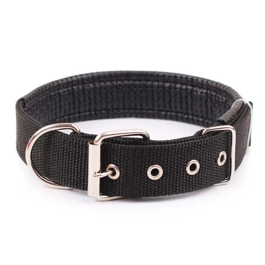 Nylon Dog Collar for Small Medium or Large Dogs