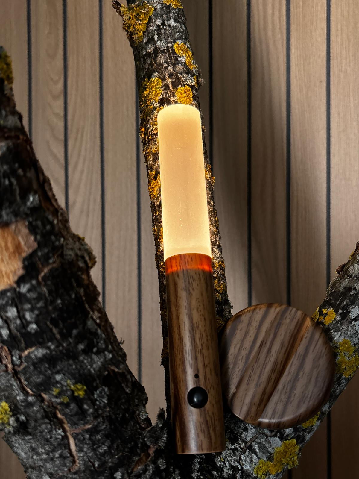magnetic led light rechargeable