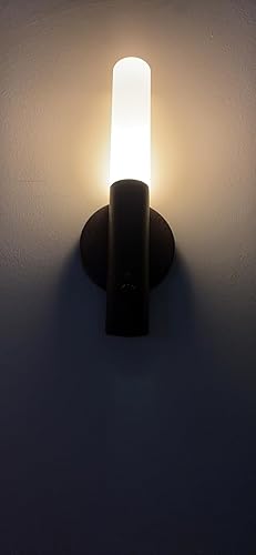 61jGLzGnL7L._SY500_.jpg