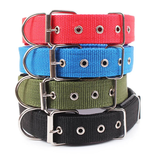 Nylon Dog Collar for Small Medium or Large Dogs