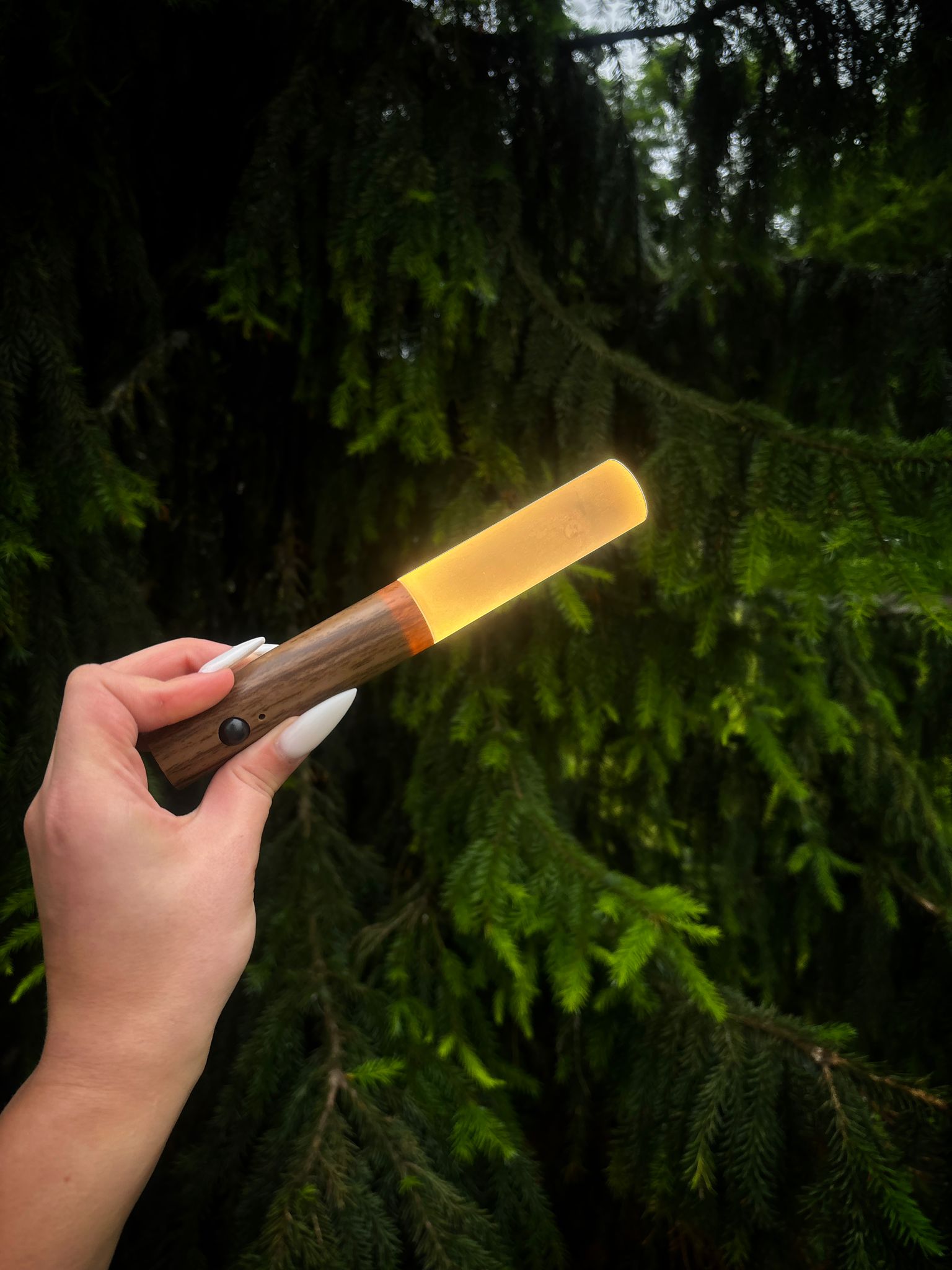 magnetic rechargeable led light
