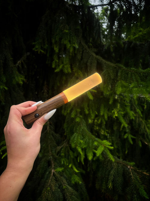 magnetic rechargeable led light